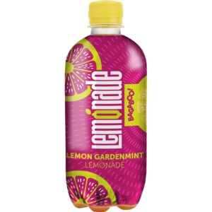 BAGABOO – ZAHRADNÍ MÁTOVÁ LIMONÁDA
